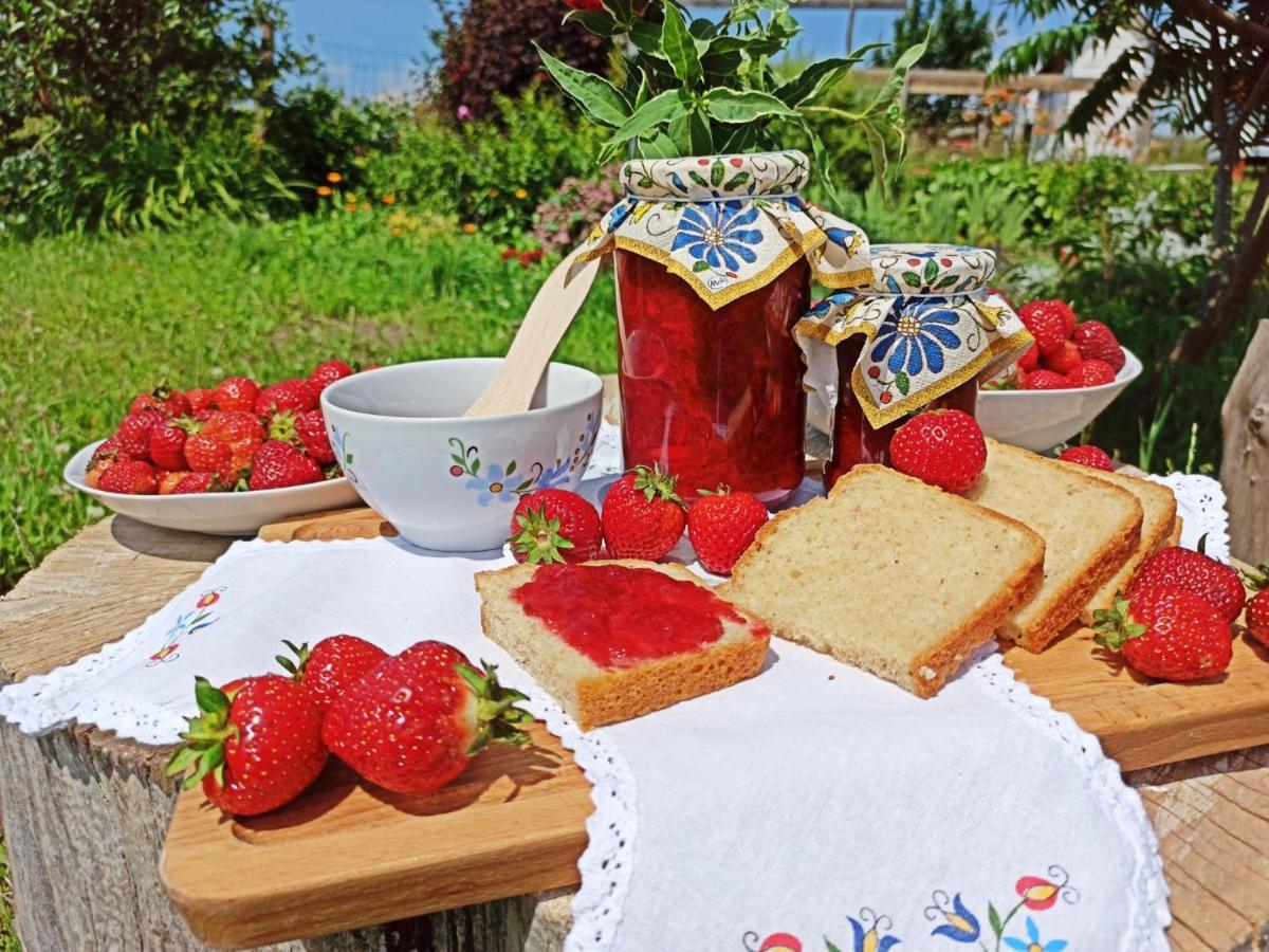 Agroturystyka "Pod Ptasia Gora" Golubie Exterior foto